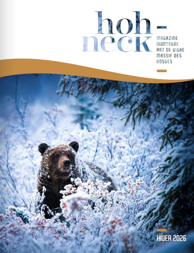 HOH-NECK Janvier 2026numéro 2019