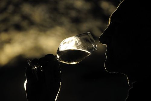 Vignobles Molozay - Château de Vaux