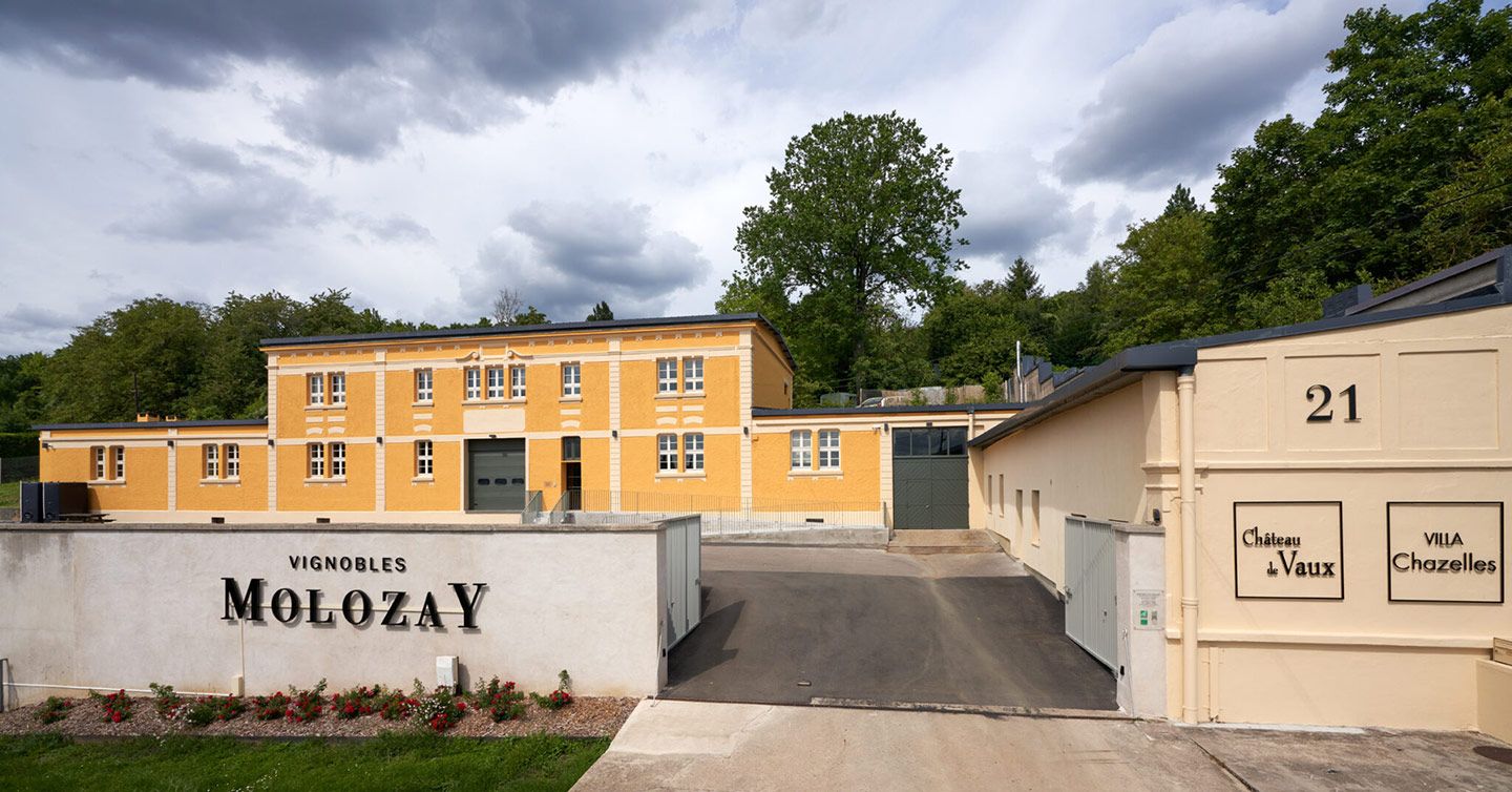 Vignobles Molozay - Scy-Chazelles - Domaine