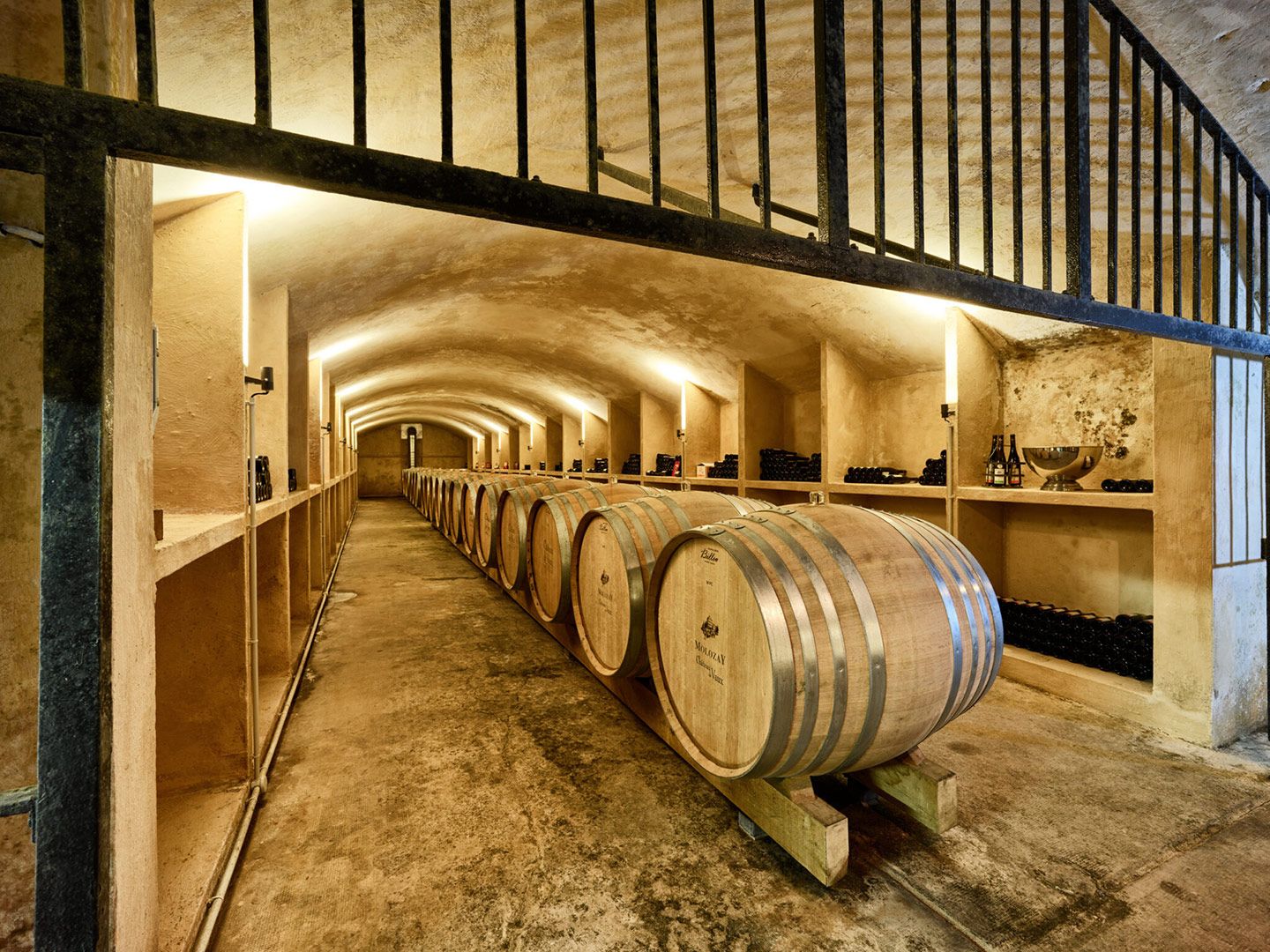 Vignobles Molozay - Scy-Chazelles - Chai