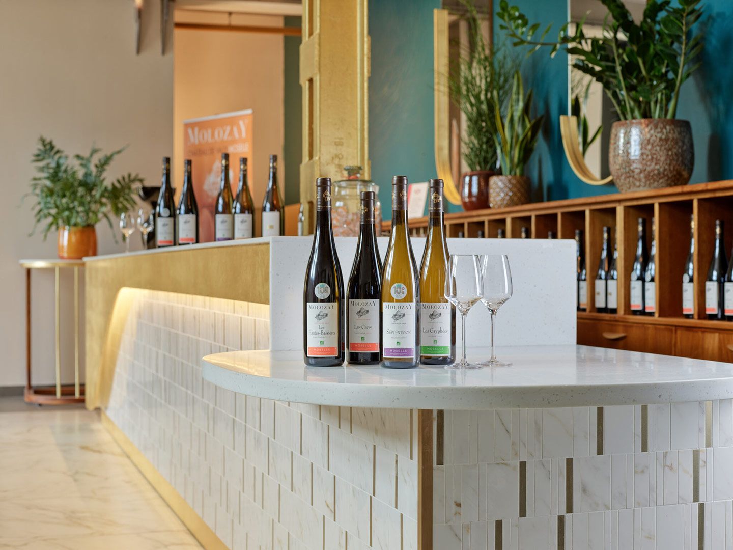 Vignobles Molozay - Scy-Chazelles - Caveau