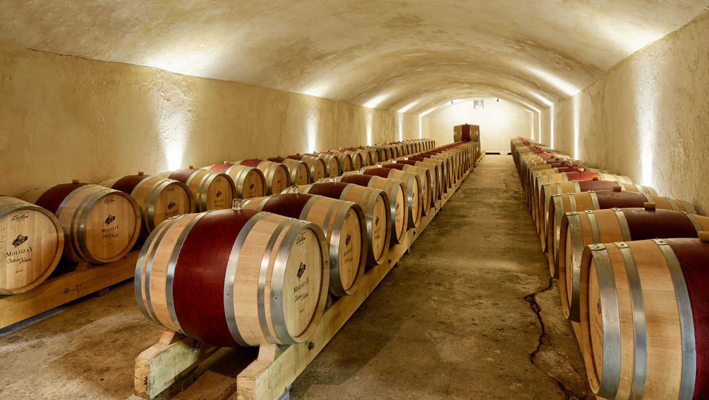 Vignobles Molozay - Scy-Chazelles - Chai