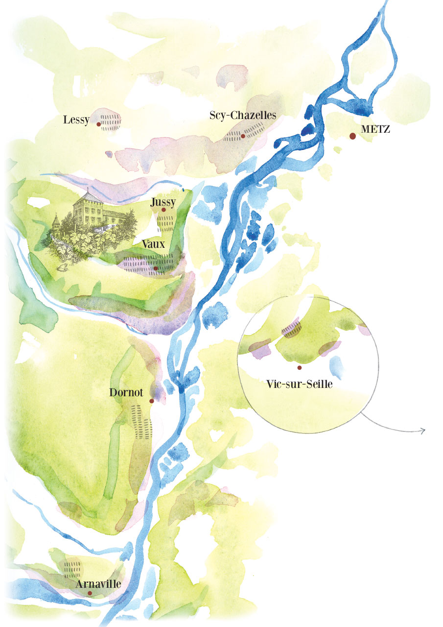Vignobles Molozay - Château de Vaux - Vignes & domaine à Vaux (Moselle)
