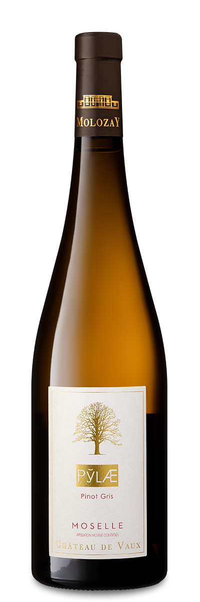 Château de Vaux Pylae, vin blanc sec, Vignobles Molozay