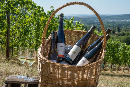 Vignobles Molozay - Château de Vaux - Vins bio AOC Moselle certifiés ECOCERT AB et Demeter